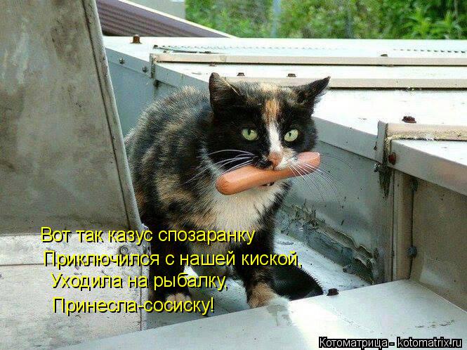Вот так казус спозаранку Приключился с нашей киской, Уходила на рыбалку, Принесла-сосиску!... Котоматрица: Вот так казус спозаранку Приключился с нашей киской, Уходила на рыбалку, Принесла-сосиску!