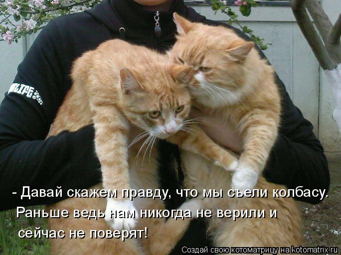 - Давай скажем правду, что мы съели колбасу. Раньше ведь нам никогда не верили и сейчас не поверят!... Котоматрица: - Давай скажем правду, что мы съели колбасу. Раньше ведь нам никогда не верили и сейчас не поверят!
