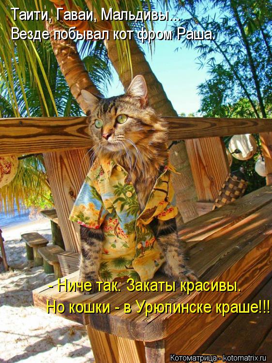 - Ниче так. Закаты красивы. Таити, Гаваи, Мальдивы... Везде побывал кот фром Раша. Но кошки - в Урюпи... Котоматрица: - Ниче так. Закаты красивы. Таити, Гаваи, Мальдивы... Везде побывал кот фром Раша. Но кошки - в Урюпинске краше!!!