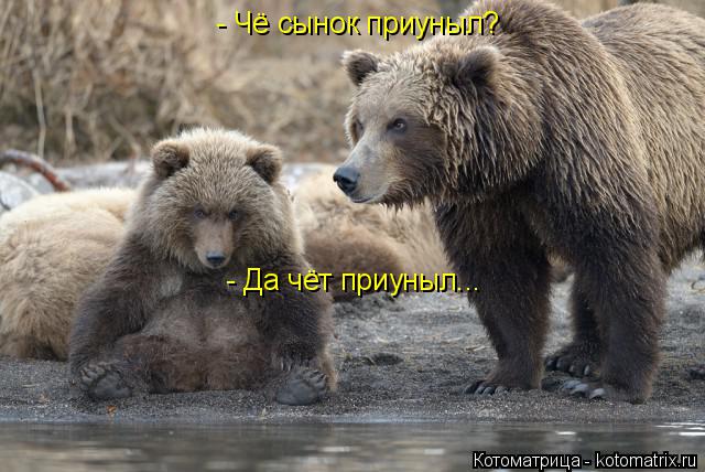 - Чё сынок приуныл? - Да чёт приуныл...... Котоматрица: - Чё сынок приуныл? - Да чёт приуныл...
