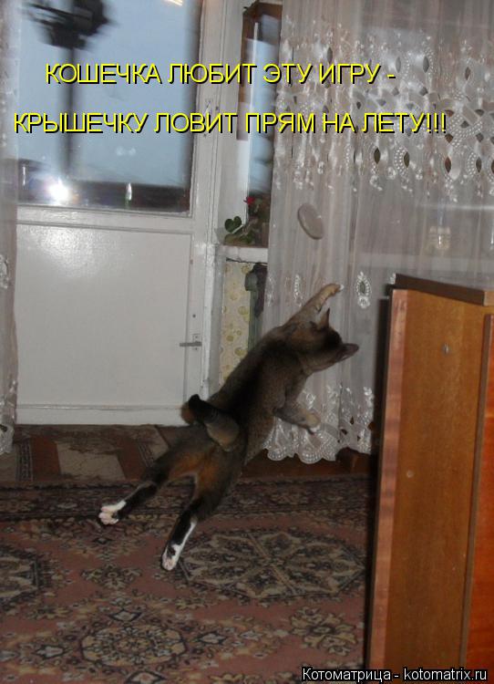КОШЕЧКА ЛЮБИТ ЭТУ ИГРУ - КРЫШЕЧКУ ЛОВИТ ПРЯМ НА ЛЕТУ!!!... Котоматрица: КОШЕЧКА ЛЮБИТ ЭТУ ИГРУ - КРЫШЕЧКУ ЛОВИТ ПРЯМ НА ЛЕТУ!!!