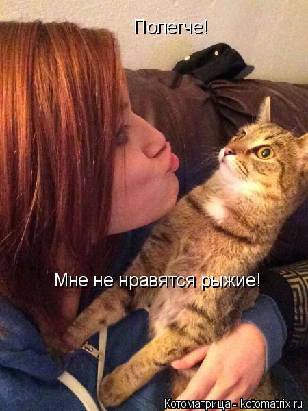 Полегче! Мне не нравятся рыжие!... Котоматрица: Полегче! Мне не нравятся рыжие!