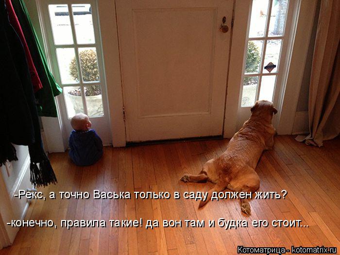 -Рекс, а точно Васька только в саду должен жить? -конечно, правила такие! да вон там и будка его стои... Котоматрица: -Рекс, а точно Васька только в саду должен жить? -конечно, правила такие! да вон там и будка его стоит...