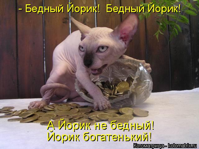 - Бедный Йорик! Бедный Йорик! А Йорик не бедный! Йорик богатенький!... Котоматрица: - Бедный Йорик! Бедный Йорик! А Йорик не бедный! Йорик богатенький!