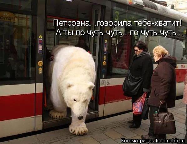 Петровна...говорила тебе-хватит! А ты по чуть-чуть...по чуть-чуть...... Котоматрица: Петровна...говорила тебе-хватит! А ты по чуть-чуть...по чуть-чуть...
