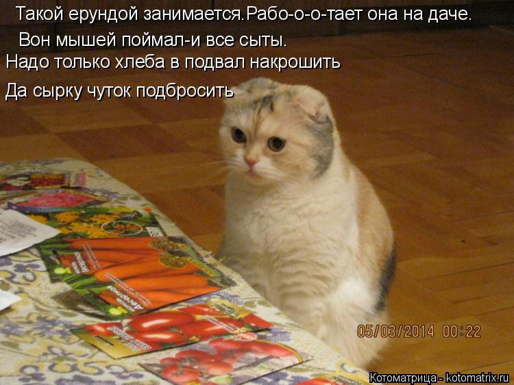 Такой ерундой занимается.Рабо-о-о-тает она на даче. Вон мышей поймал-и все сыты. Надо только хлеба в ... Котоматрица: Такой ерундой занимается.Рабо-о-о-тает она на даче. Вон мышей поймал-и все сыты. Надо только хлеба в подвал накрошить Да сырку чуток подброс