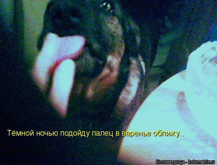 Тёмной ночью подойду палец в варенье оближу...... Котоматрица: Тёмной ночью подойду палец в варенье оближу...