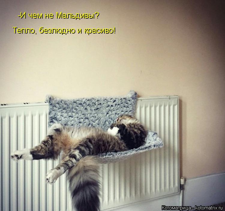 -И чем не Мальдивы? Тепло, безлюдно и красиво!... Котоматрица: -И чем не Мальдивы? Тепло, безлюдно и красиво!