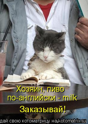 Хозяин, пиво по-английски - milk Заказывай!... Котоматрица: Хозяин, пиво по-английски - milk Заказывай!