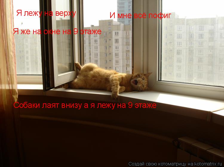 Я лежу на верху И мне всё пофиг Я же на окне на 9 этаже Собаки лаят внизу а я лежу на 9 этаже... Котоматрица: Я лежу на верху И мне всё пофиг Я же на окне на 9 этаже Собаки лаят внизу а я лежу на 9 этаже