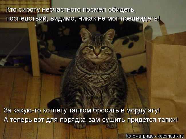Кто сироту несчастного посмел обидеть, последствий, видимо, никак не мог предвидеть! За какую-то котл... Котоматрица: Кто сироту несчастного посмел обидеть, последствий, видимо, никак не мог предвидеть! За какую-то котлету тапком бросить в морду эту! А тепер