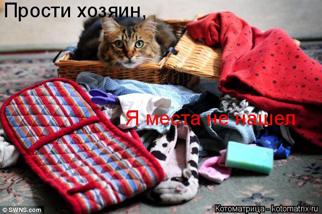 Прости хозяин, Я места не нашел... Котоматрица: Прости хозяин, Я места не нашел