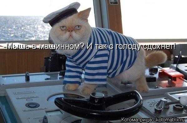 -Мышь в машинном? И так с голоду сдохнет!... Котоматрица: -Мышь в машинном? И так с голоду сдохнет!