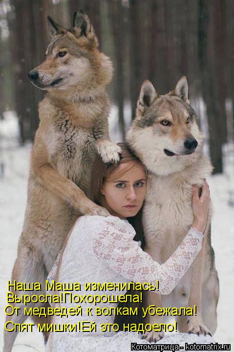 Наша Маша изменилась! Выросла!Похорошела! От медведей к волкам убежала! Спят мишки!Ей это надоело!... Котоматрица: Наша Маша изменилась! Выросла!Похорошела! От медведей к волкам убежала! Спят мишки!Ей это надоело!