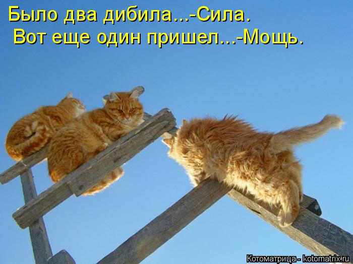 Было два дибила...-Сила. Вот еще один пришел...-Мощь.... Котоматрица: Было два дибила...-Сила. Вот еще один пришел...-Мощь.
