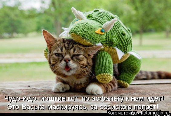 Чудо-юдо, йошкин кот, по асфальту к нам идет! Это Васька маскируясь, за сосискою ползет!... Котоматрица: Чудо-юдо, йошкин кот, по асфальту к нам идет! Это Васька маскируясь, за сосискою ползет!