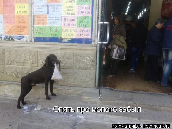 Опять про молоко забыл...... Котоматрица: Опять про молоко забыл...