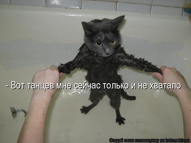 - Вот танцев мне сейчас только и не хватало... Котоматрица: - Вот танцев мне сейчас только и не хватало