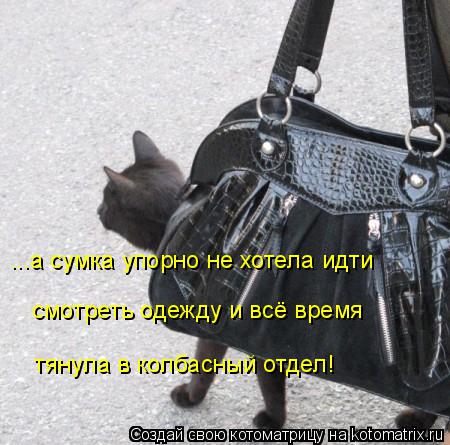 ...а сумка упорно не хотела идти смотреть одежду и всё время тянула в колбасный отдел!... Котоматрица: ...а сумка упорно не хотела идти смотреть одежду и всё время тянула в колбасный отдел!