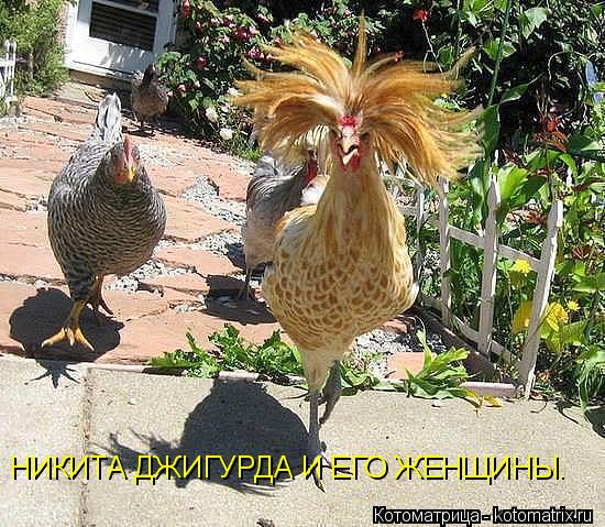 НИКИТА ДЖИГУРДА И ЕГО ЖЕНЩИНЫ.... Котоматрица: НИКИТА ДЖИГУРДА И ЕГО ЖЕНЩИНЫ.