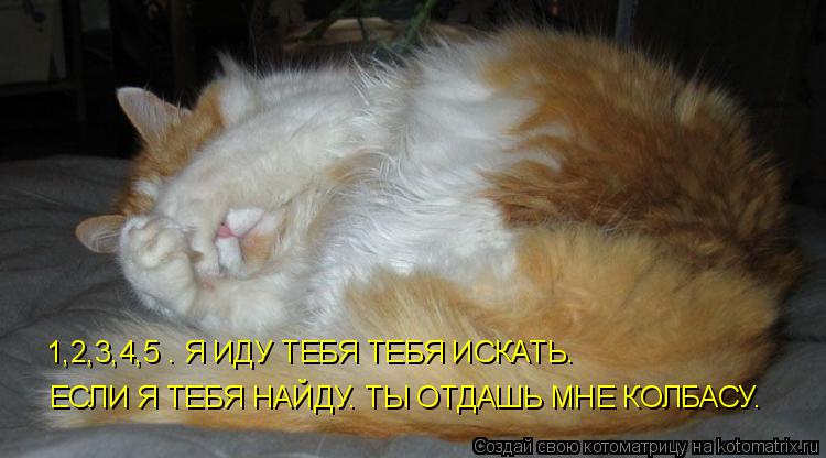 1,2,3,4,5 . Я ИДУ ТЕБЯ ТЕБЯ ИСКАТЬ. ЕСЛИ Я ТЕБЯ НАЙДУ. ТЫ ОТДАШЬ МНЕ КОЛБАСУ.... Котоматрица: 1,2,3,4,5 . Я ИДУ ТЕБЯ ТЕБЯ ИСКАТЬ. ЕСЛИ Я ТЕБЯ НАЙДУ. ТЫ ОТДАШЬ МНЕ КОЛБАСУ.
