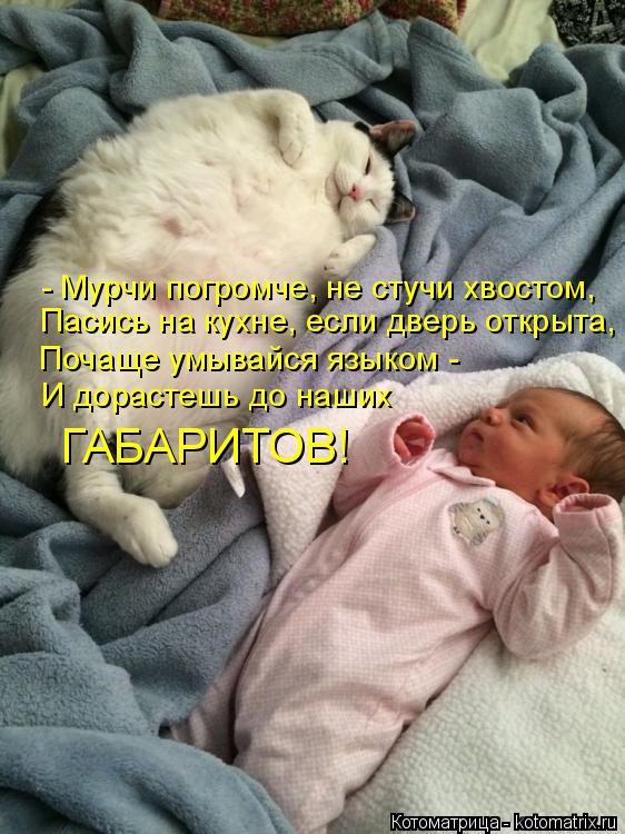 - Мурчи погромче, не стучи хвостом, Пасись на кухне, если дверь открыта, Почаще умывайся языком - И д... Котоматрица: - Мурчи погромче, не стучи хвостом, Пасись на кухне, если дверь открыта, Почаще умывайся языком - И дорастешь до наших ГАБАРИТОВ!