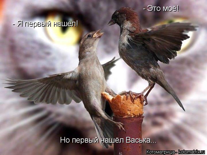 - Это моё! - Я первый нашел! Но первый нашёл Васька...... Котоматрица: - Это моё! - Я первый нашел! Но первый нашёл Васька...