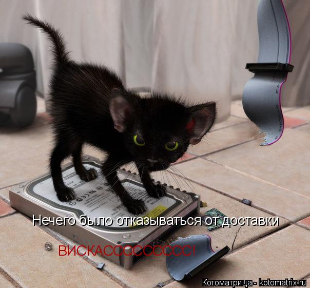 Нечего было отказываться от доставки ВИСКАССССССССС!... Котоматрица: Нечего было отказываться от доставки ВИСКАССССССССС!