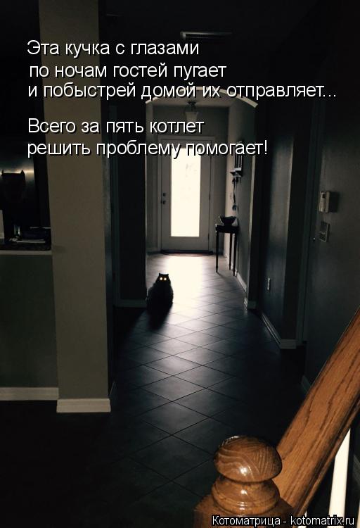 по ночам гостей пугает и побыстрей домой их отправляет... Эта кучка с глазами Всего за пять котлет р... Котоматрица: по ночам гостей пугает и побыстрей домой их отправляет... Эта кучка с глазами Всего за пять котлет решить проблему помогает!