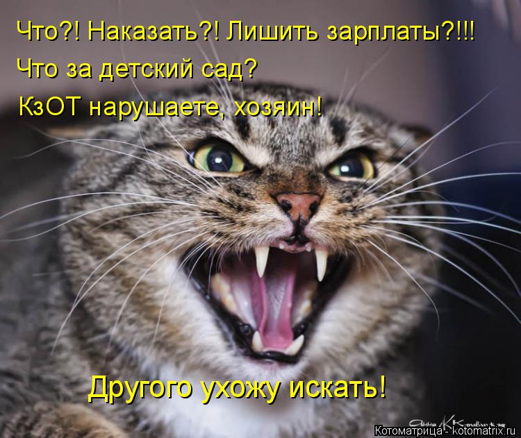Котоматрица: Что?! Наказать?! Лишить зарплаты?!!! Что за детский сад? КзОТ нарушаете, хозяин! Другого ухожу искать!