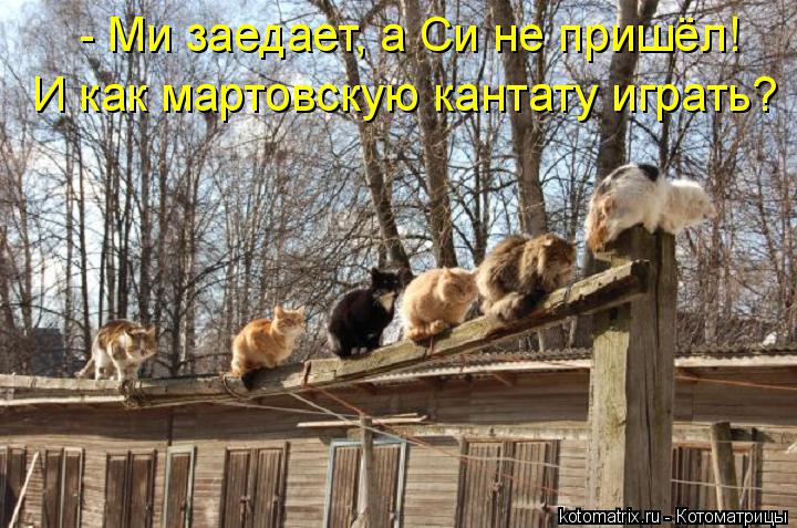 - Ми заедает, а Си не пришёл! И как мартовскую кантату играть?... Котоматрица: - Ми заедает, а Си не пришёл! И как мартовскую кантату играть?