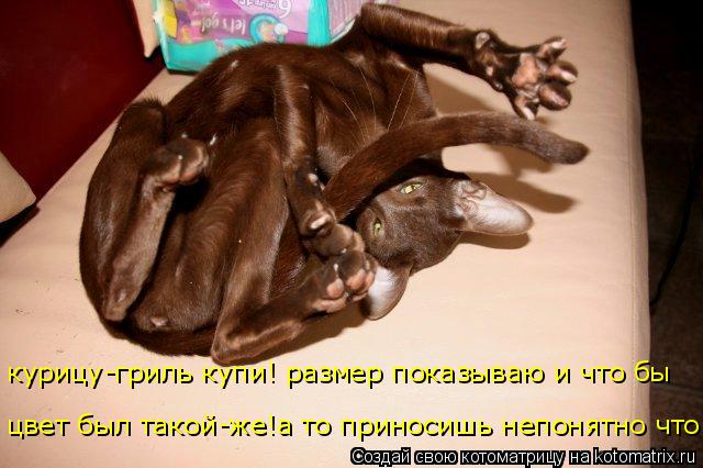 курицу-гриль купи! размер показываю и что бы цвет был такой-же!а то приносишь непонятно что!... Котоматрица: курицу-гриль купи! размер показываю и что бы цвет был такой-же!а то приносишь непонятно что!