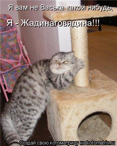 Я вам не Васька какой нибудь, Я - Жадинаговядина!!!... Котоматрица: Я вам не Васька какой нибудь, Я - Жадинаговядина!!!