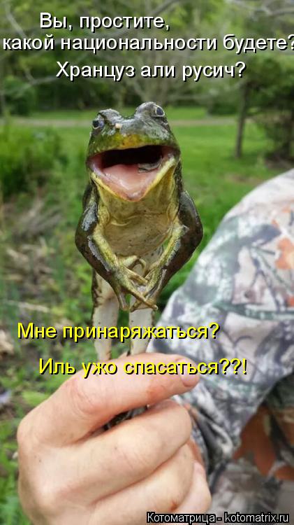 какой национальности будете? Вы, простите, Хранцуз али русич? Мне принаряжаться? Иль ужо спасаться?... Котоматрица: какой национальности будете? Вы, простите, Хранцуз али русич? Мне принаряжаться? Иль ужо спасаться??!