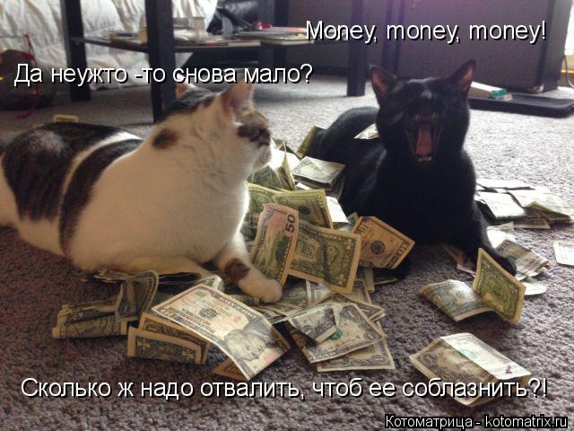 Money, money, money! Да неужто -то снова мало? Сколько ж надо отвалить, чтоб ее соблазнить?!... Котоматрица: Money, money, money! Да неужто -то снова мало? Сколько ж надо отвалить, чтоб ее соблазнить?!