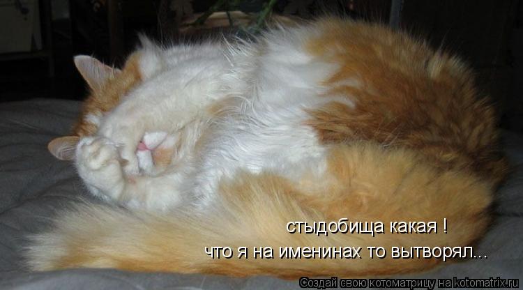 Котоматрица: стыдобища какая !  что я на именинах то вытворял...
