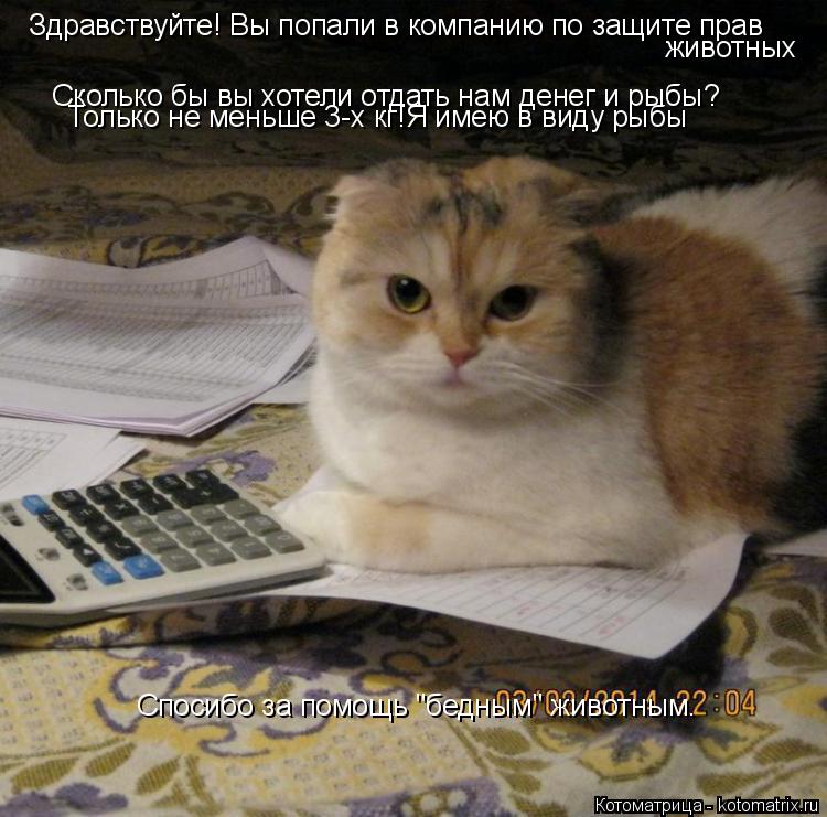 Здравствуйте! Вы попали в компанию по защите прав животных Сколько бы вы хотели отдать нам денег и ры... Котоматрица: Здравствуйте! Вы попали в компанию по защите прав животных Сколько бы вы хотели отдать нам денег и рыбы? Только не меньше 3-х кг!Я имею в виду