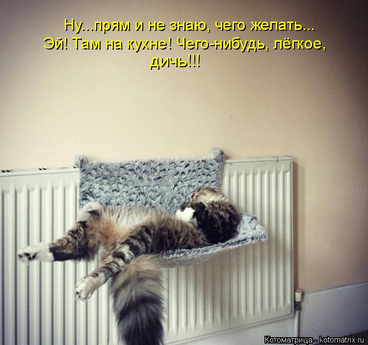 Ну...прям и не знаю, чего желать... Эй! Там на кухне! Чего-нибудь из дичи, лёгкое, Эй! Там на кухне! ... Котоматрица: Ну...прям и не знаю, чего желать... Эй! Там на кухне! Чего-нибудь из дичи, лёгкое, Эй! Там на кухне! Чего-нибудь, лёгкое, дичь!!!