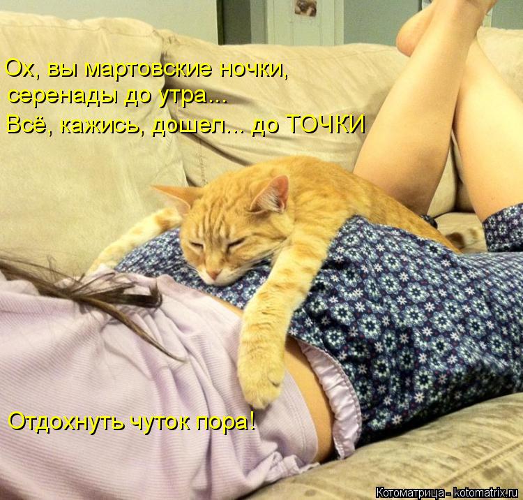 Ох, вы мартовские ночки, серенады до утра... Всё, кажись, дошел... до ТОЧКИ Отдохнуть чуток пора!... Котоматрица: Ох, вы мартовские ночки, серенады до утра... Всё, кажись, дошел... до ТОЧКИ Отдохнуть чуток пора!
