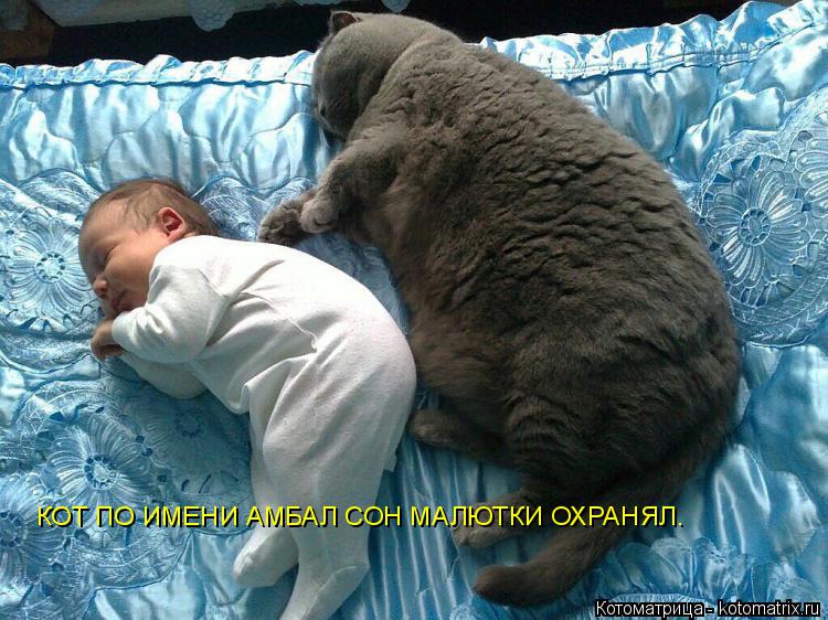 КОТ ПО ИМЕНИ АМБАЛ СОН МАЛЮТКИ ОХРАНЯЛ.... Котоматрица: КОТ ПО ИМЕНИ АМБАЛ СОН МАЛЮТКИ ОХРАНЯЛ.