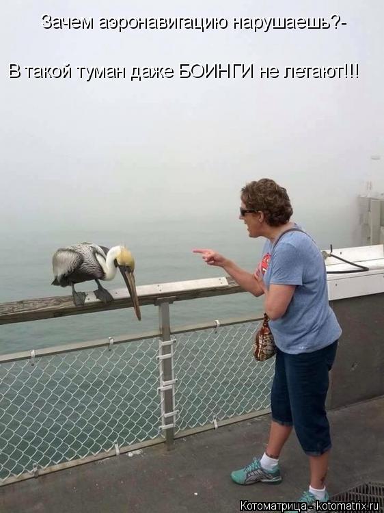 Зачем аэронавигацию нарушаешь?- В такой туман даже БОИНГИ не летают!!!... Котоматрица: Зачем аэронавигацию нарушаешь?- В такой туман даже БОИНГИ не летают!!!