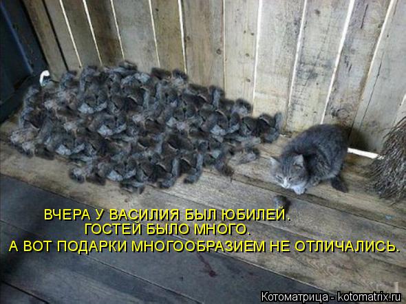 ВЧЕРА У ВАСИЛИЯ БЫЛ ЮБИЛЕЙ. ГОСТЕЙ БЫЛО МНОГО. А ВОТ ПОДАРКИ МНОГООБРАЗИЕМ НЕ ОТЛИЧАЛИСЬ.... Котоматрица: ВЧЕРА У ВАСИЛИЯ БЫЛ ЮБИЛЕЙ. ГОСТЕЙ БЫЛО МНОГО. А ВОТ ПОДАРКИ МНОГООБРАЗИЕМ НЕ ОТЛИЧАЛИСЬ.