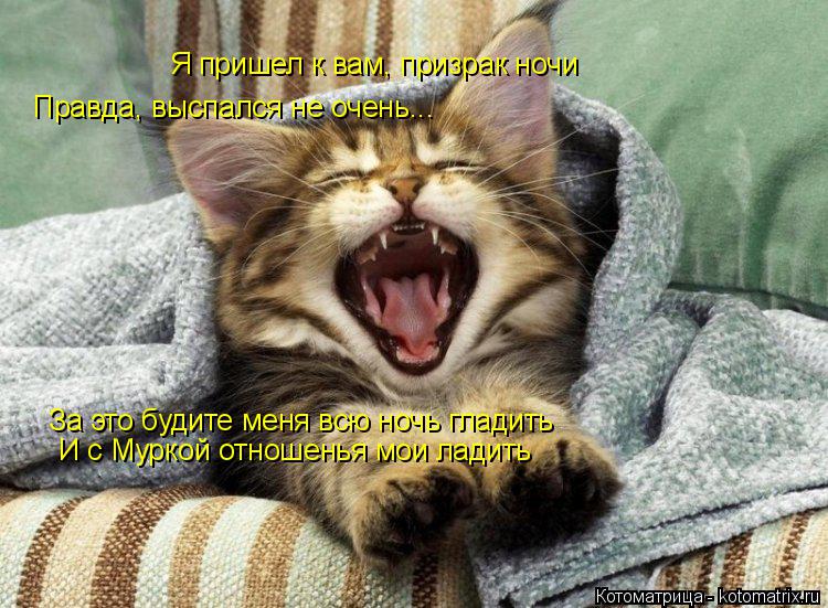 Я пришел к вам, призрак ночи Правда, выспался не очень... За это будите меня всю ночь гладить И с Мур... Котоматрица: Я пришел к вам, призрак ночи Правда, выспался не очень... За это будите меня всю ночь гладить И с Муркой отношенья мои ладить