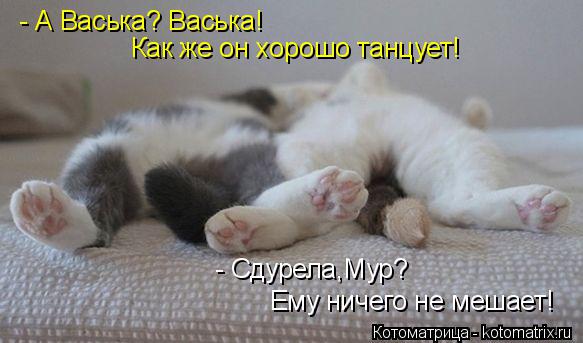 - А Васька? Васька! Как же он хорошо танцует! - Сдурела,Мур? Ему ничего не мешает!... Котоматрица: - А Васька? Васька! Как же он хорошо танцует! - Сдурела,Мур? Ему ничего не мешает!