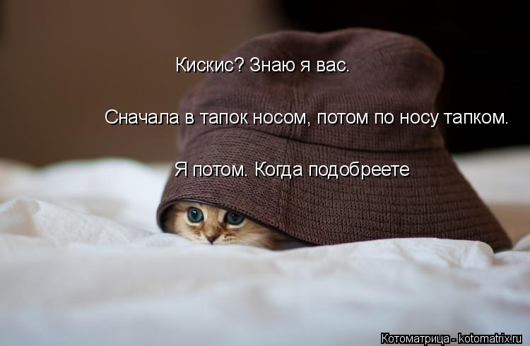 Кискис? Знаю я вас. Сначала в тапок носом, потом по носу тапком. Я потом. Когда подобреете... Котоматрица: Кискис? Знаю я вас. Сначала в тапок носом, потом по носу тапком. Я потом. Когда подобреете