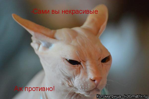 -Сами вы некрасивые Аж противно!... Котоматрица: -Сами вы некрасивые Аж противно!