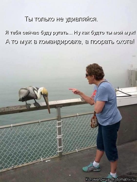 Ты только не удивляйся. Я тебя сейчас буду ругать... Ну как будто ты мой муж! А то муж в командировке... Котоматрица: Ты только не удивляйся. Я тебя сейчас буду ругать... Ну как будто ты мой муж! А то муж в командировке, а поорать охота!