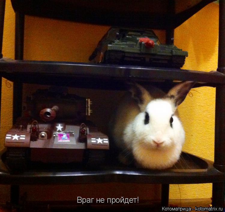 Враг не пройдет!... Котоматрица: Враг не пройдет!