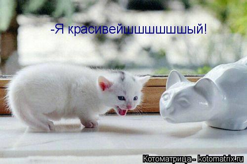 -Я ерасивейшшшшшшый -Я красивейшшшшшшый!... Котоматрица: -Я ерасивейшшшшшшый -Я красивейшшшшшшый!