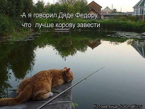 -А я говорил Дяде Федору, что лучше корову завести... Котоматрица: -А я говорил Дяде Федору, что лучше корову завести